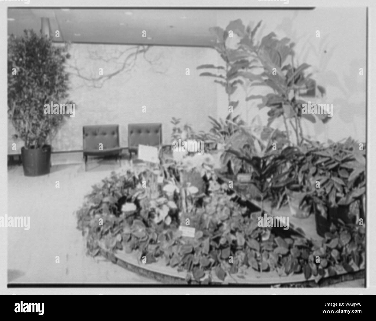 Candlelight Restaurant, Central Ave., Yonkers, New York Stock Photo Alamy