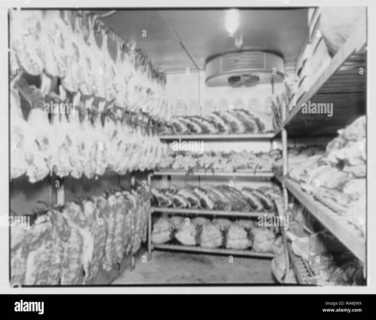 Candlelight Restaurant, Central Ave., Yonkers, New York Stock Photo Alamy