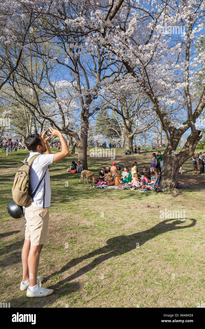 Toronto high park crowd hi-res stock photography and images - Alamy