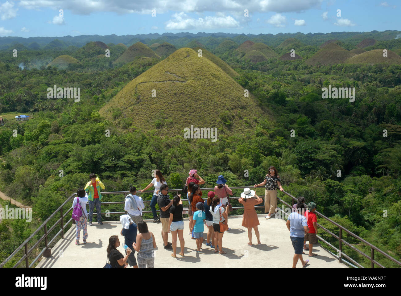 Look out at Chocolate Hills Complex, Carmen, Bohol, Philippines Stock