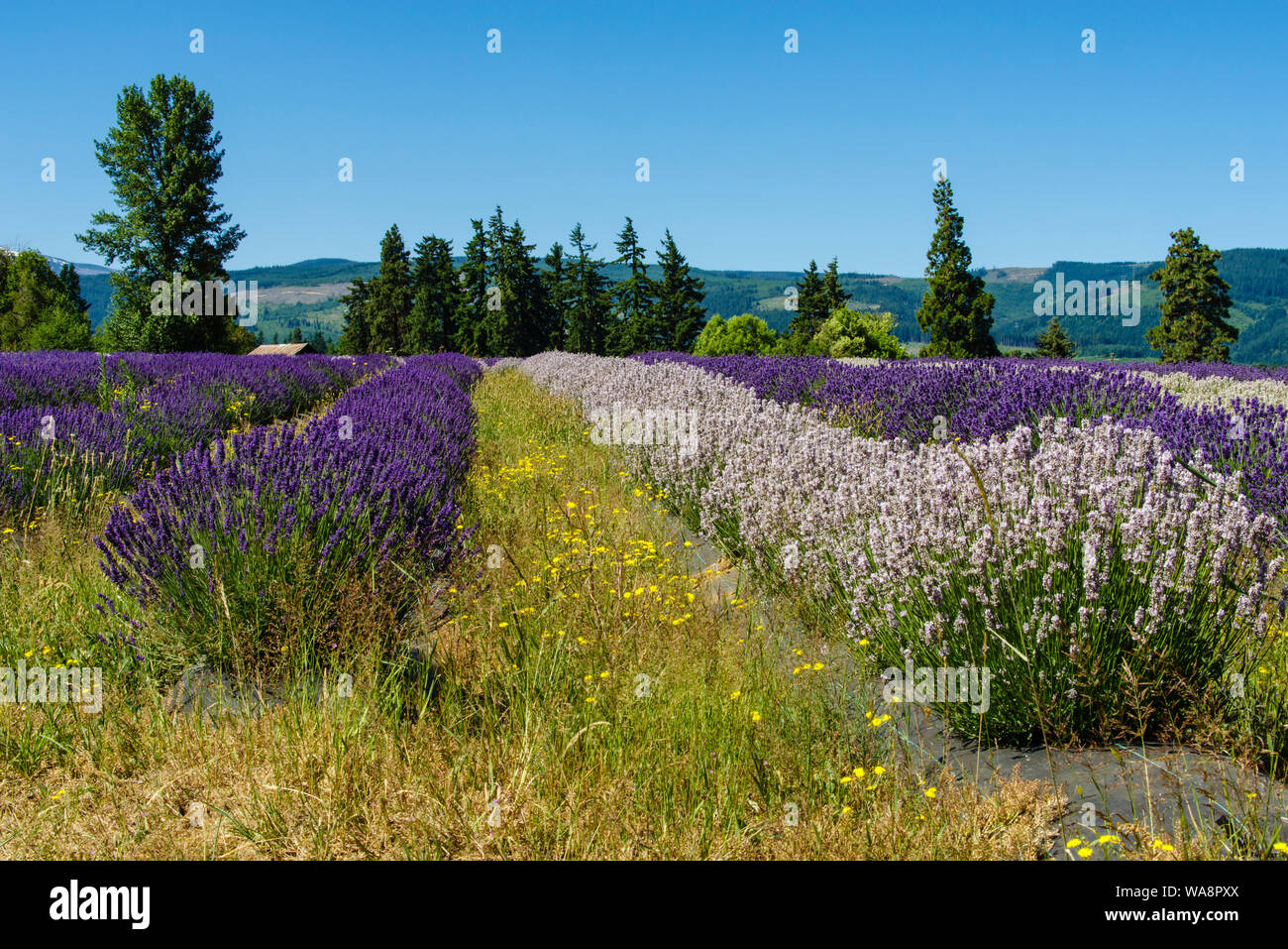 Parkdale oregon hires stock photography and images Alamy