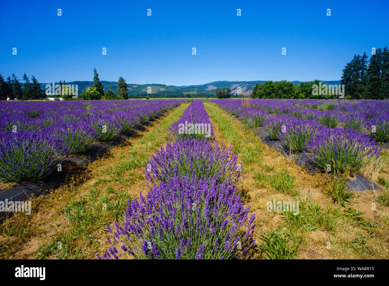 Parkdale oregon hires stock photography and images Alamy