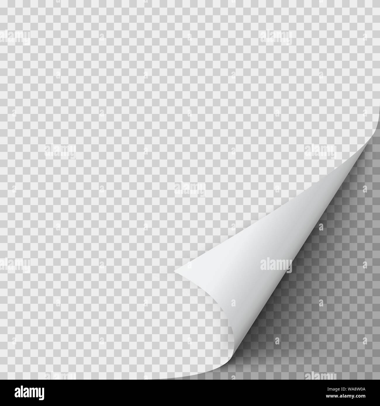 Curled corner of paper. Empty sheet of paper with twisted corner