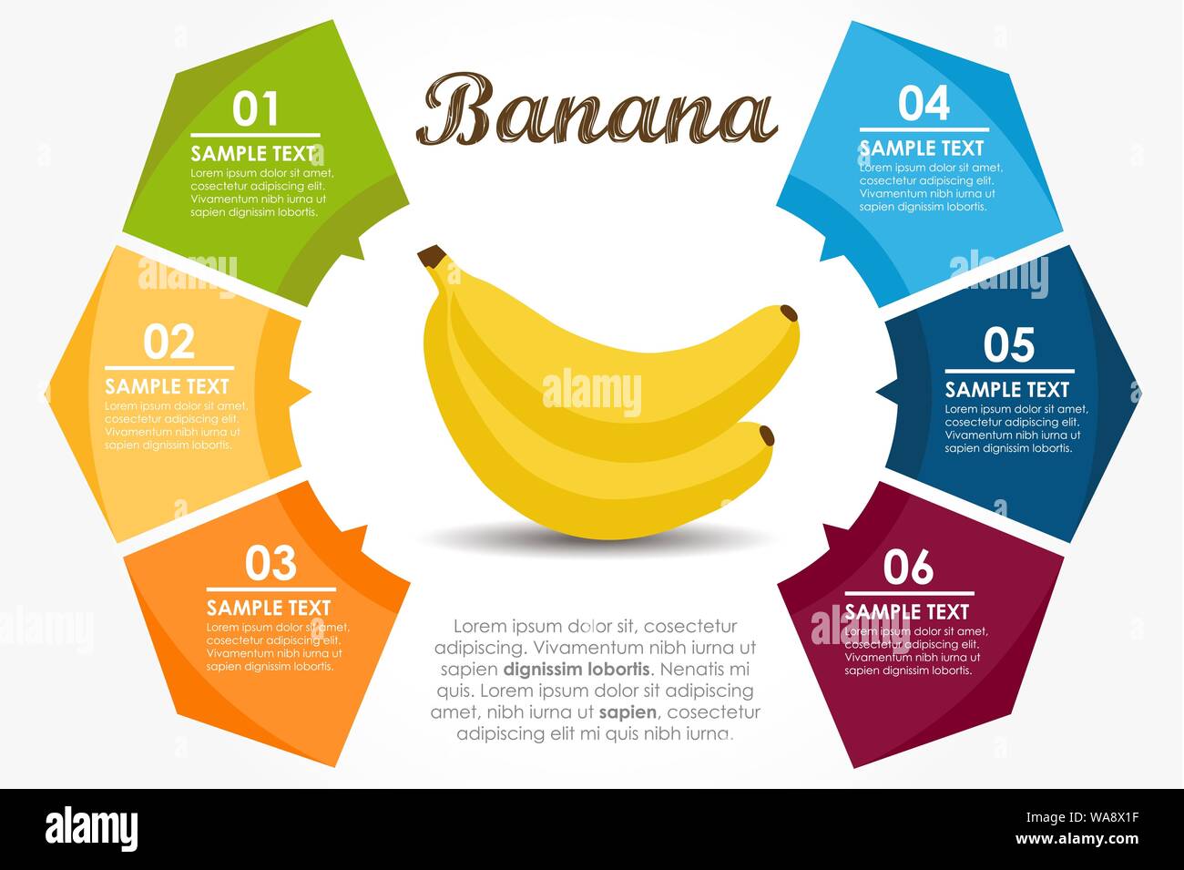 Template Fruits Nutritional Properties Banana Circle Infographic Vector Illustration Stock