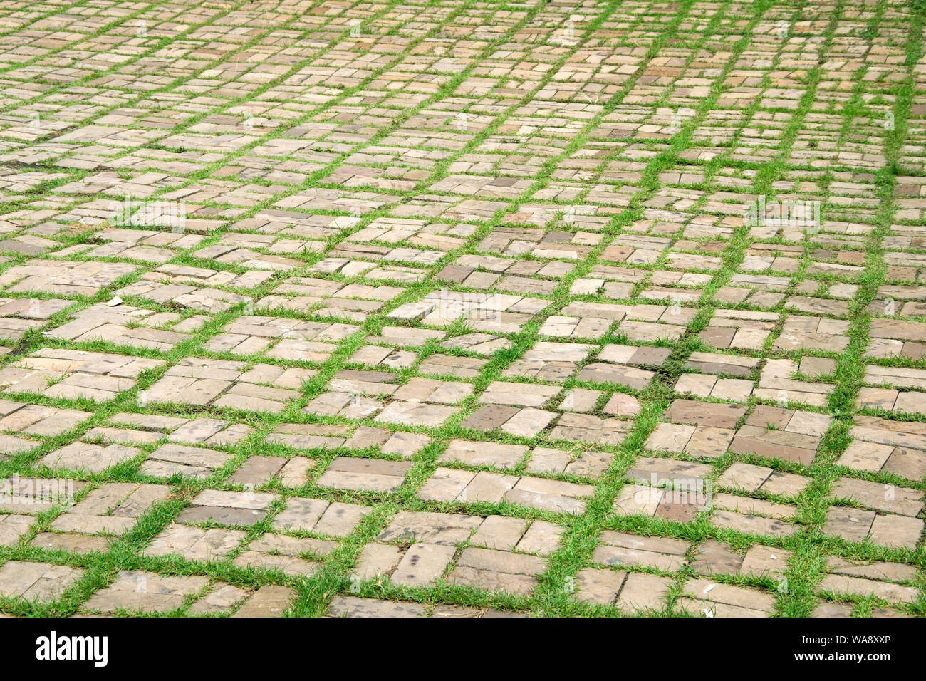 walkway with grass growing between the stones. Stock Photo
