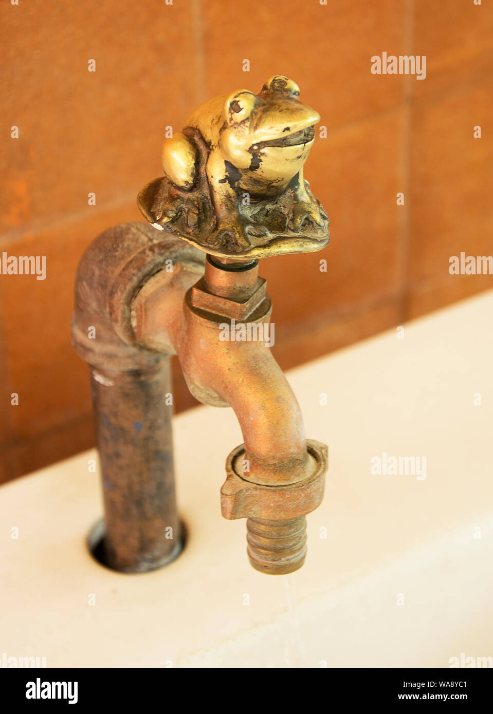 Old style faucet brass frog Stock Photo