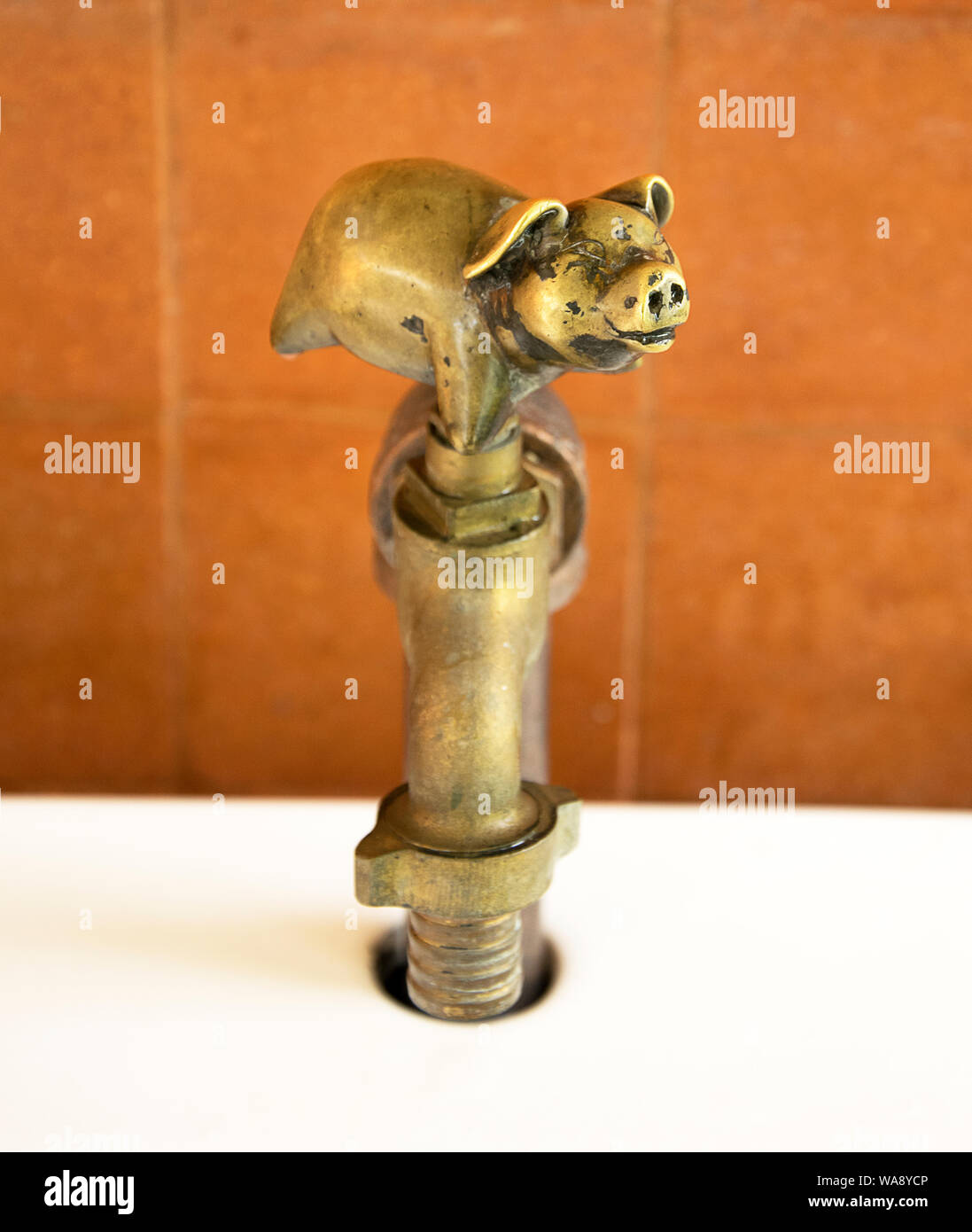 Old style faucet brass pig Stock Photo