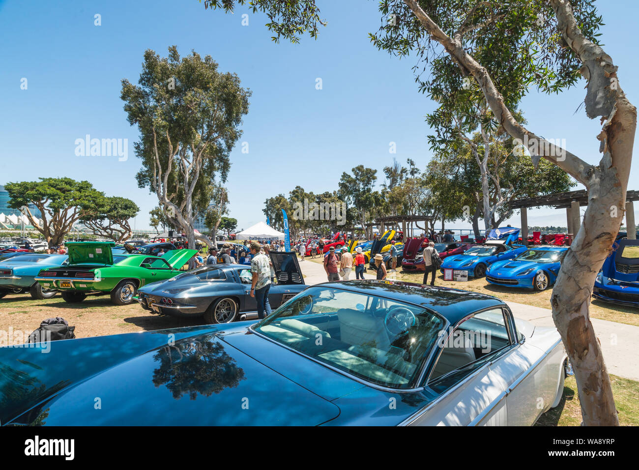San Diego/USA - August 11, 2019 Main Street America Corvette Car Show in Marina Park North - Seaport Village in San Diego, California Stock Photo