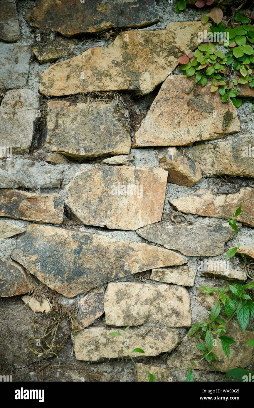 Stone wall texture with green grass and dry plants Stock Photo