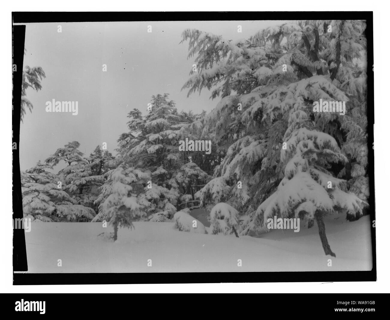 The cedars mountain Black and White Stock Photos & Images - Alamy