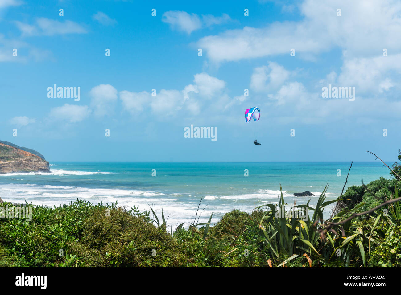 Paragliding. Flying Above Muriwai Beach, Auckland Area, North Island of New Zealand Stock Photo