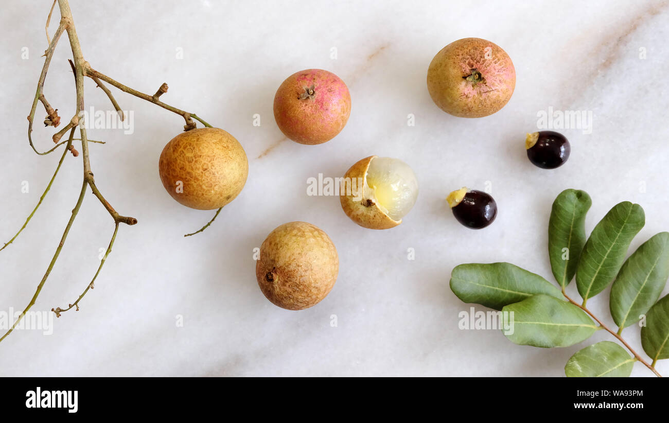 Flat lay of longan fruits, seeds, leaves and branches on a marble surface. Longan is an edible tropical fruit, also common in Eastern medicine. Stock Photo