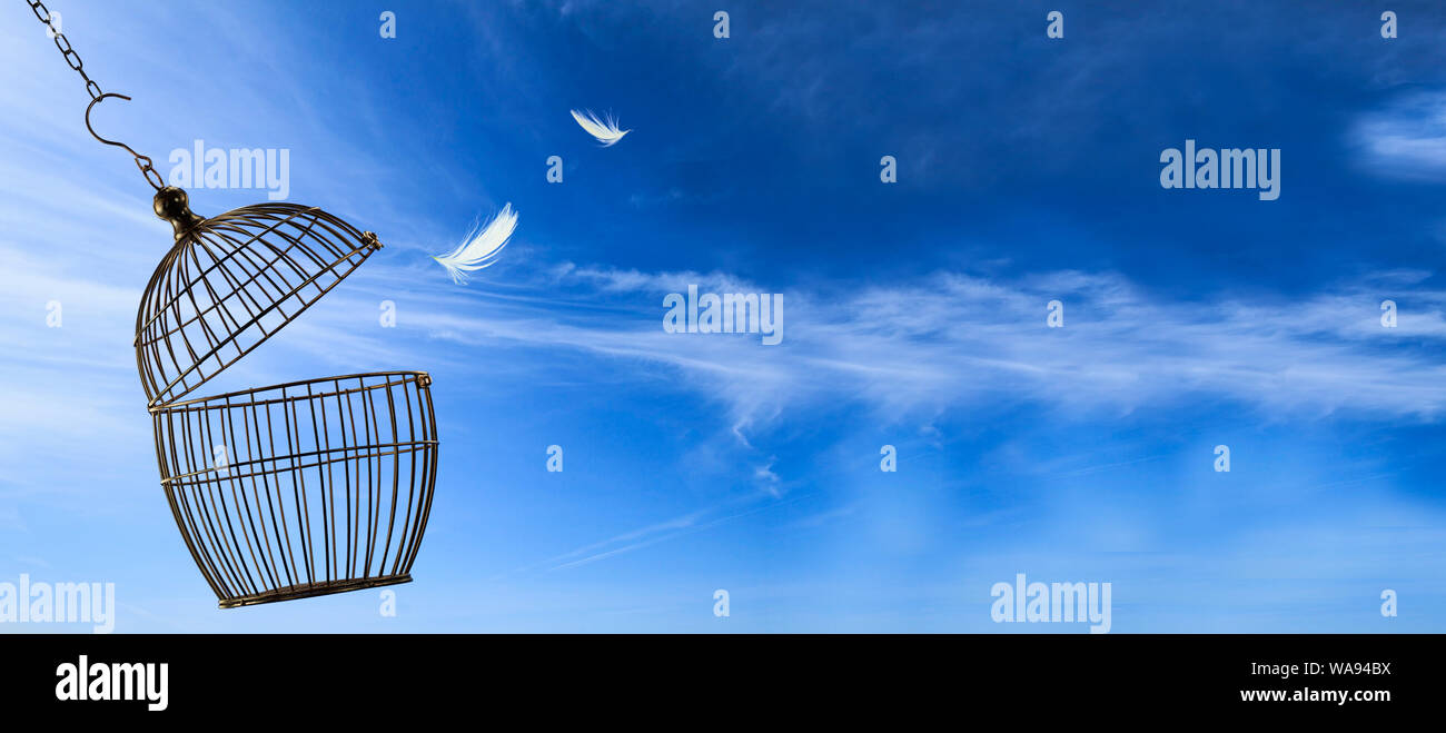 Freedom concept. Escaping from the cage Stock Photo