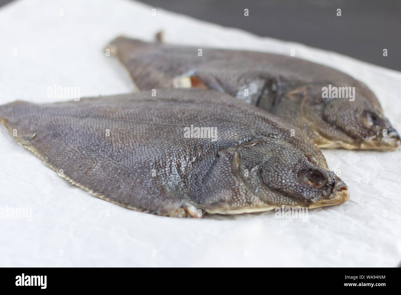 raw gutted flounder for cooking on parchment paper Stock Photo