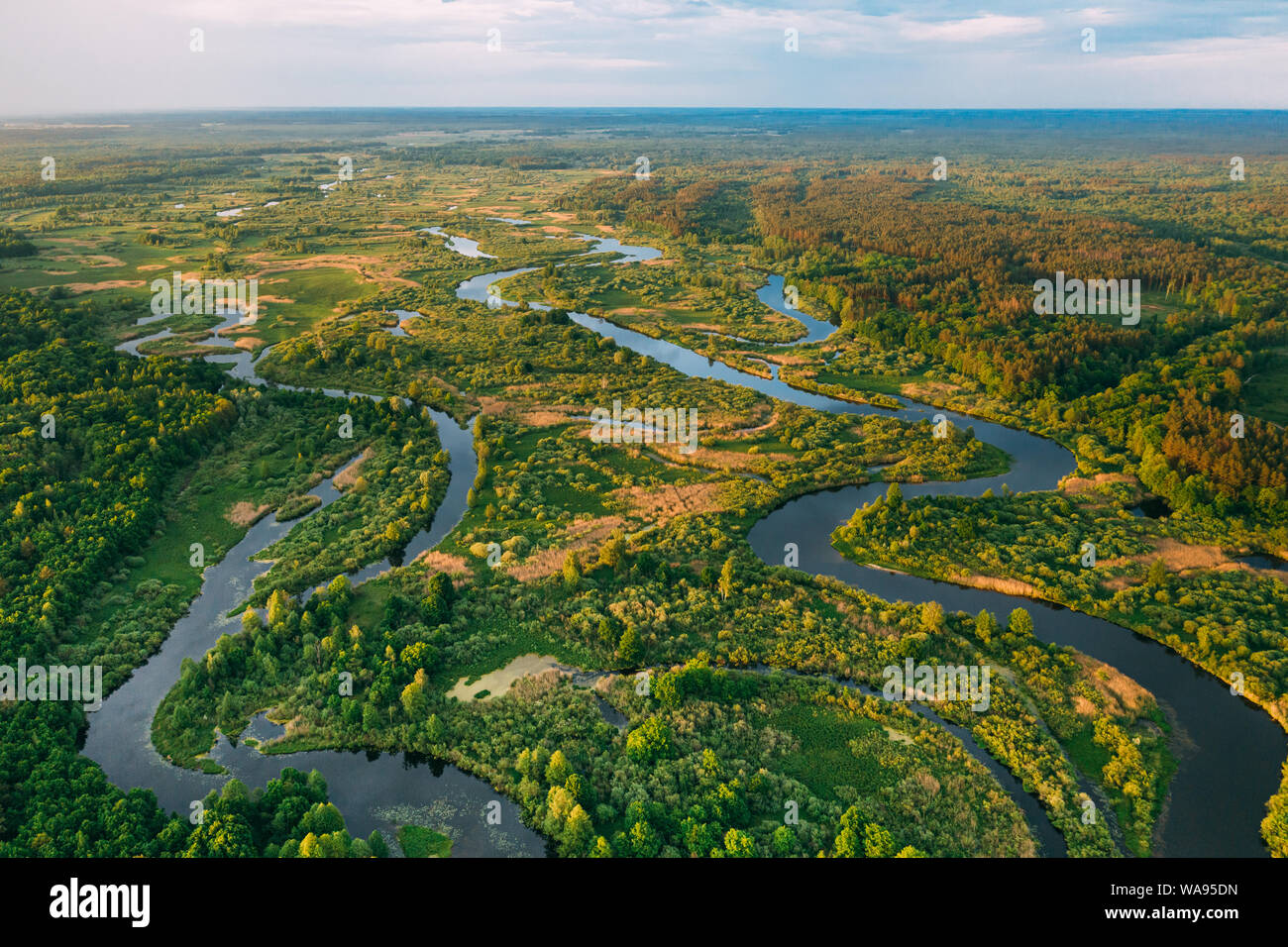 Aerial View Green Forest Woods And River Landscape In Sunny Spring Evening. Top View Of Beautiful European Nature From High Attitude In Summer Season. Stock Photo