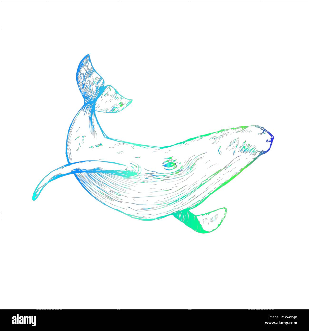 Color illustration of a whale raising tail in the sea waves. An idea ...