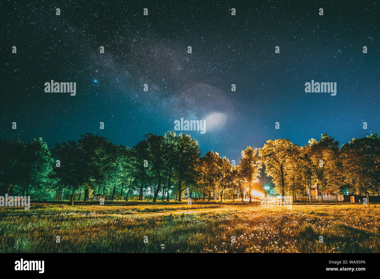 Green Trees Woods In Park Under Night Starry Sky. Night Landscape With Natural Real Glowing  Milky Way  Stars Over Meadow At Summer Season. View From Stock Photo