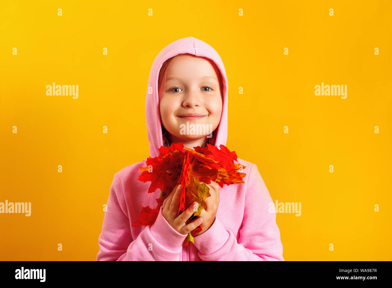 Cute little girl with an armful of autumn maple leaves on a yellow background Stock Photo