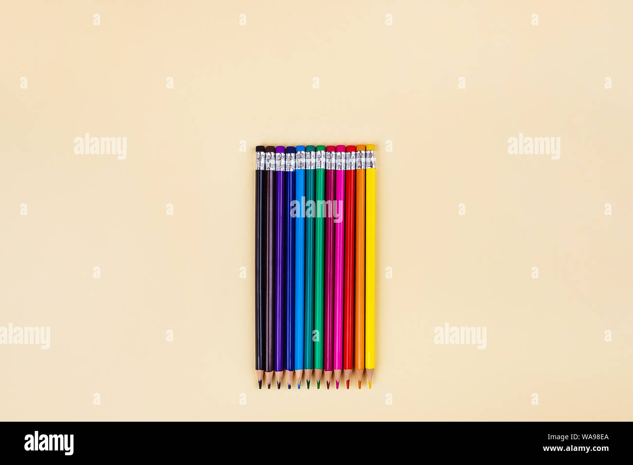 Back to school creative template with colored pencils. Stock Photo