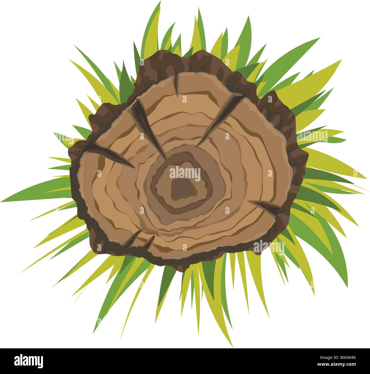 Top View Tree Stump Icon Cartoon Of Top View Tree Stump Vector