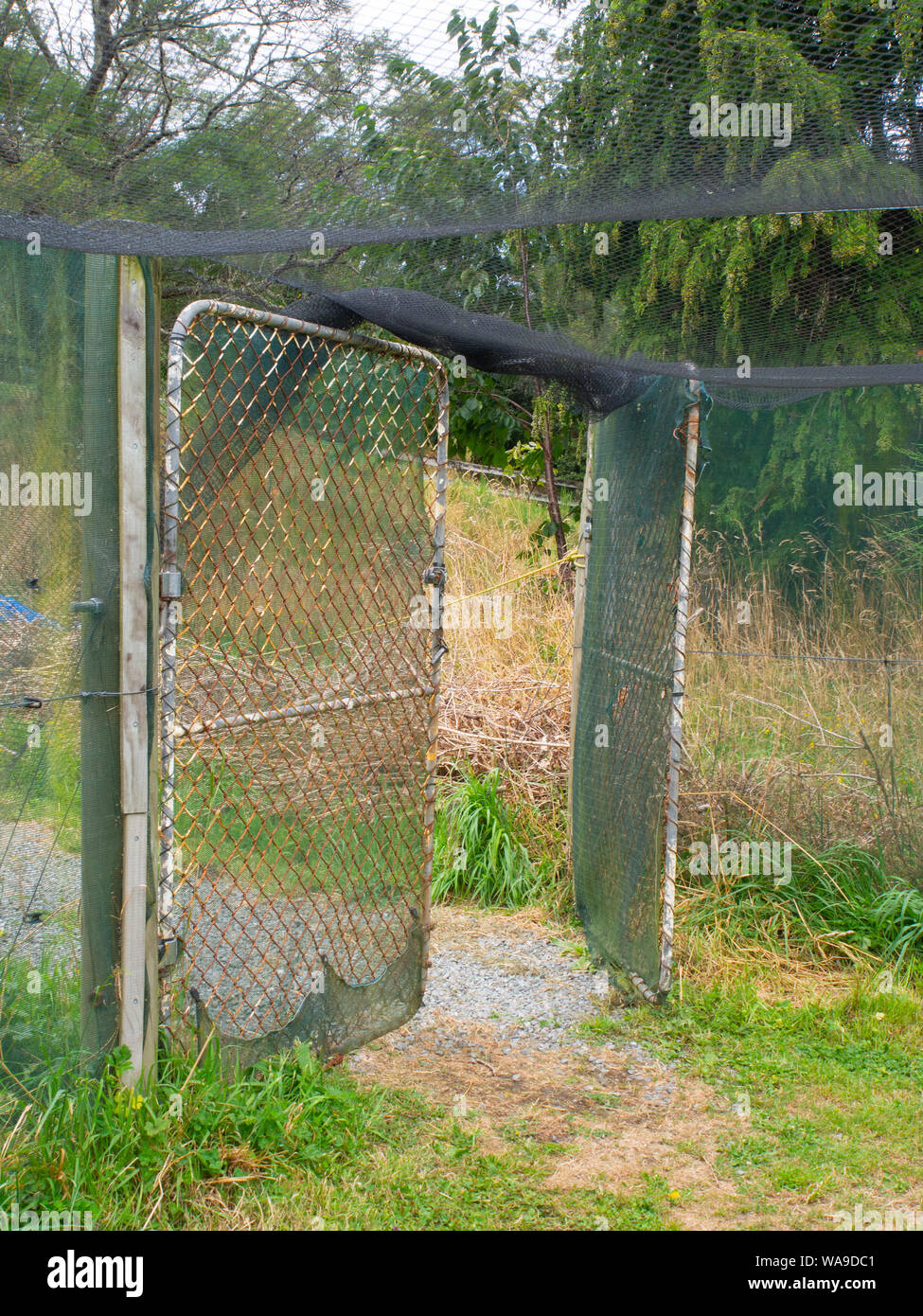 Open Gate In To Blueberry Farm Stock Photo
