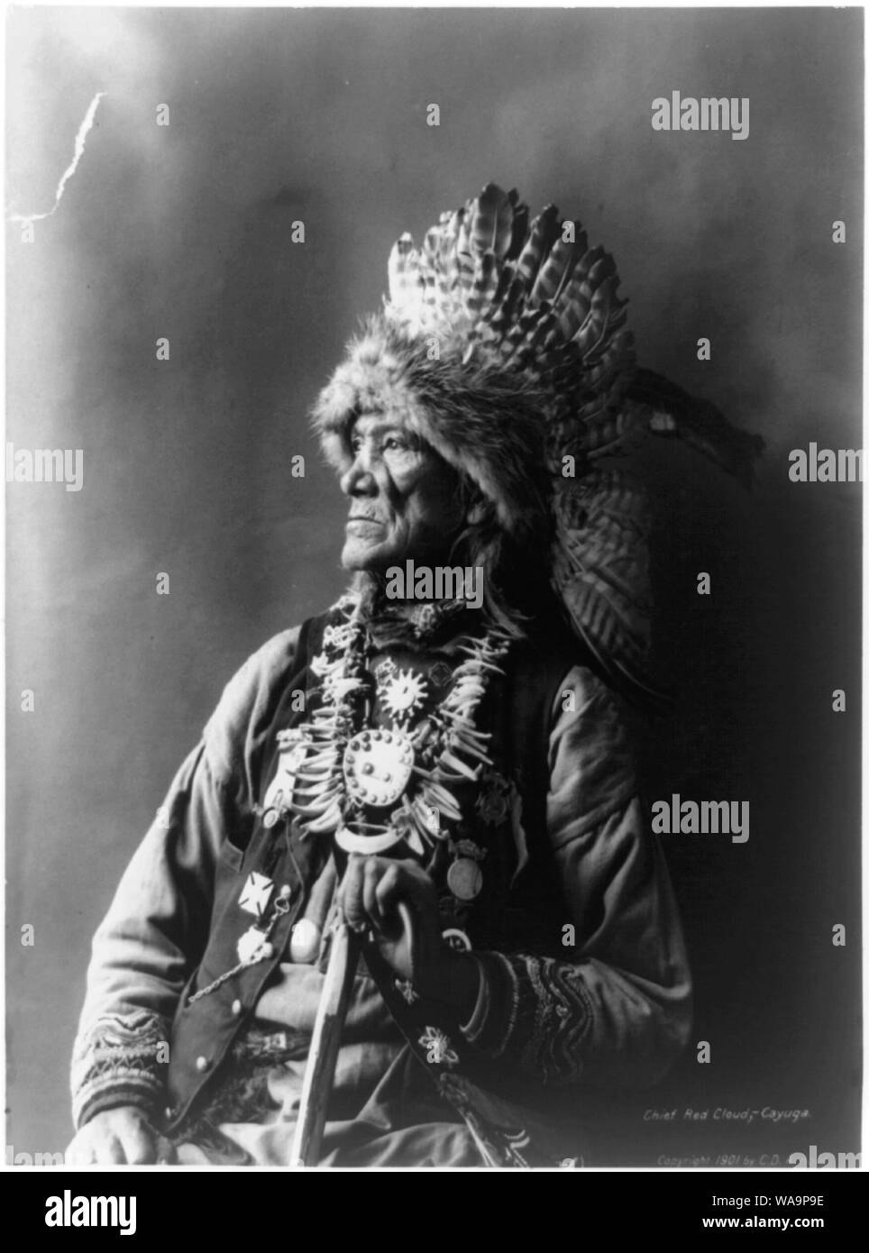 Chief Red CloudCayuga Stock Photo Alamy