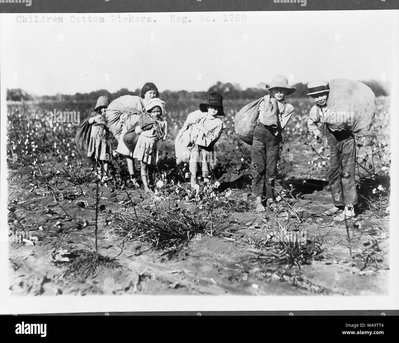 Children cotton pickers Stock Photo - Alamy