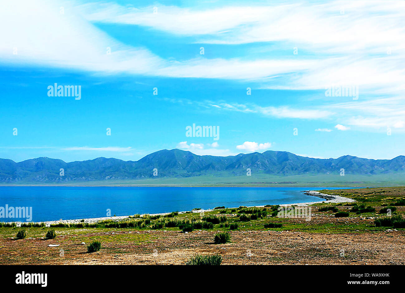 Lying in Bole city, Bortala Mongol Autonomous Prefecture, northwest China’s Xinjiang Uygur Autonomous Region, Sayram Lake wins a fame of “The last tea Stock Photo