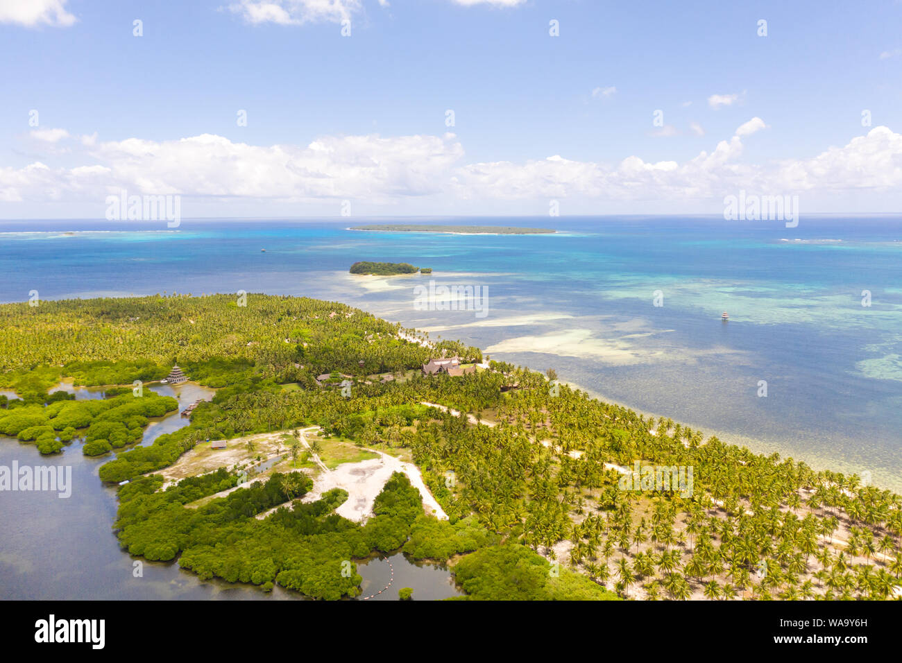 Tropical Island With Palm Trees And A White Sandy Beach Top View Nature Background The Beaches Of The Philippines Stock Photo Alamy