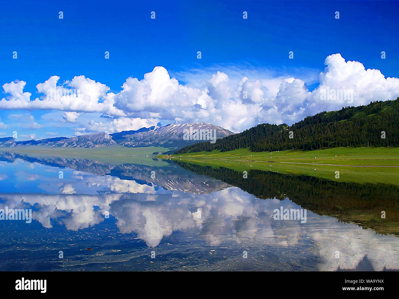 Lying in Bole city, Bortala Mongol Autonomous Prefecture, northwest China’s Xinjiang Uygur Autonomous Region, Sayram Lake wins a fame of “The last tea Stock Photo