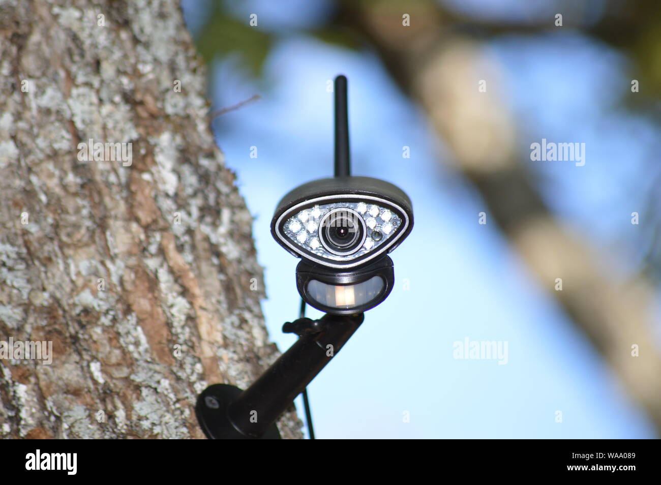 Closeup on a video surveillance camera in the forest Stock Photo