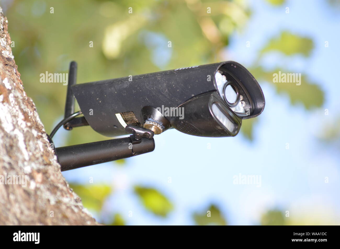 Closeup on a video surveillance camera in the forest Stock Photo