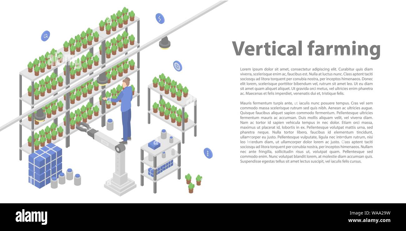 Vertical farming concept banner, isometric style Stock Vector Image ...