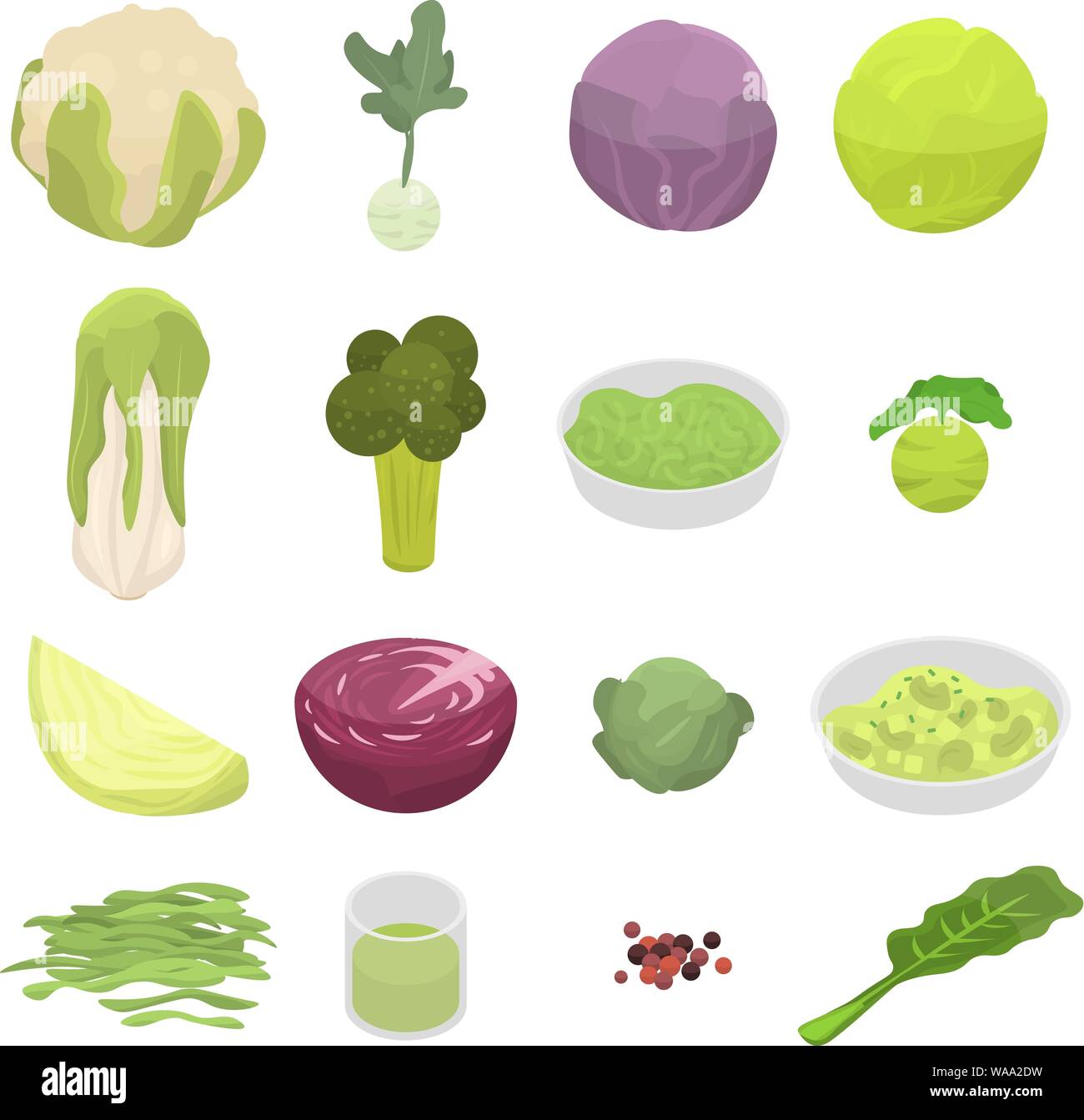 Red cabbage lettuce garden Stock Vector Images - Alamy