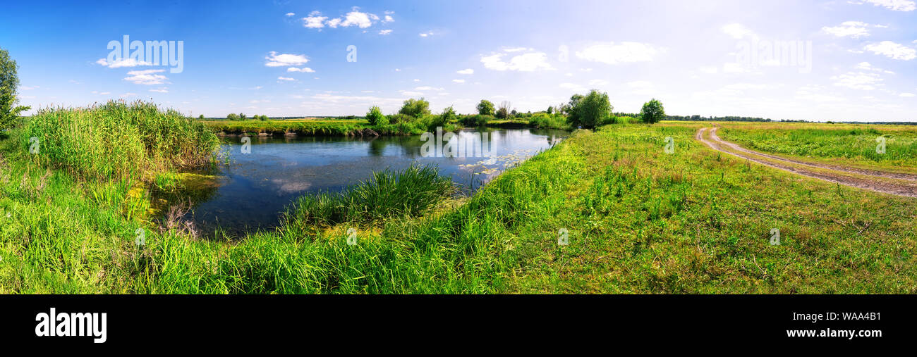 Green meadow under water hi-res stock photography and images - Alamy