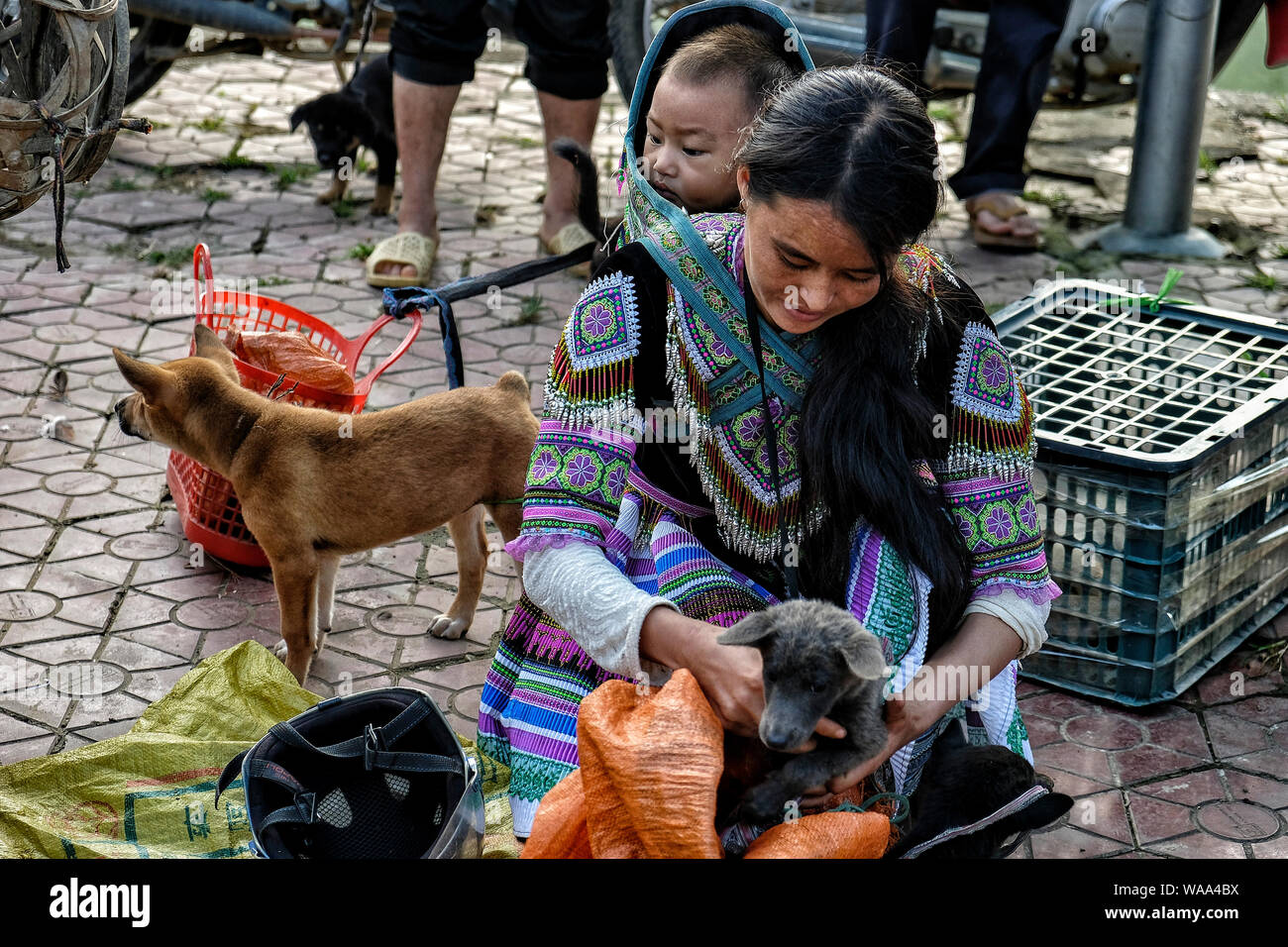 Can You Sell Dogs On Marketplace