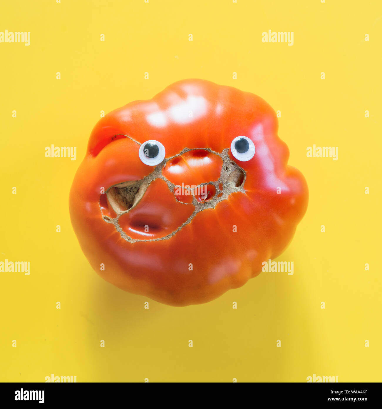 Download Ugly Ripe Tomatoes As Face Smile With Eyes On Yellow Concept Organic Vegetables Stock Photo Alamy PSD Mockup Templates