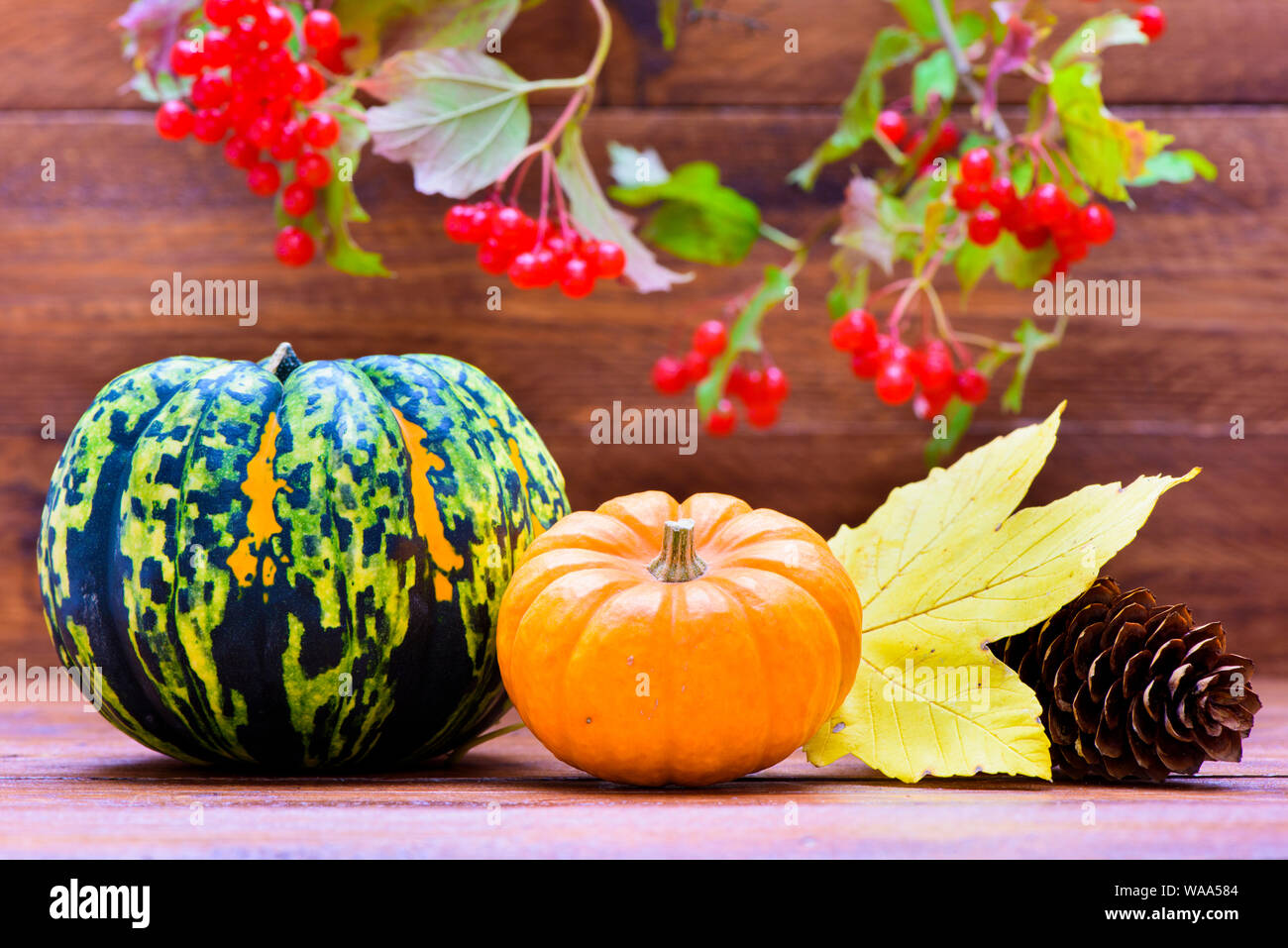 autumn decoration with pumpkin and leaves Stock Photo - Alamy