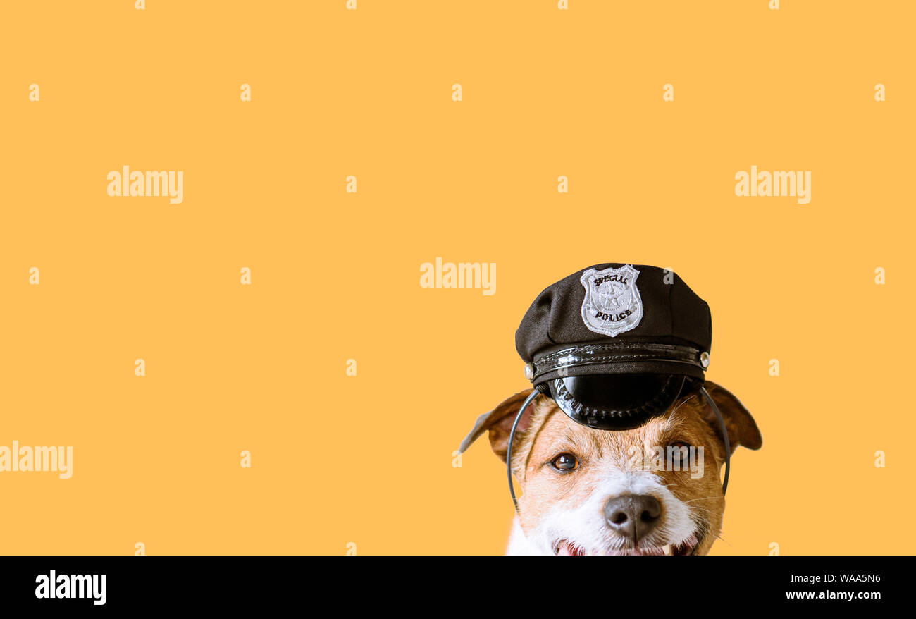 Funny dog wearing police officer peaked cap as working dog concept Stock Photo