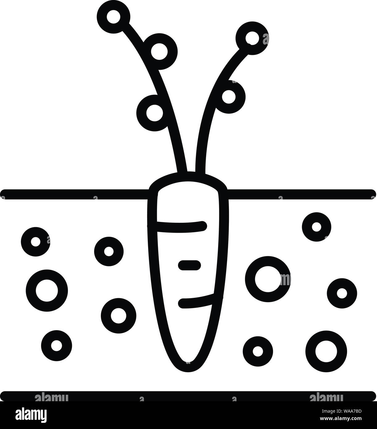 Carrot plant soil Black and White Stock Photos & Images - Alamy