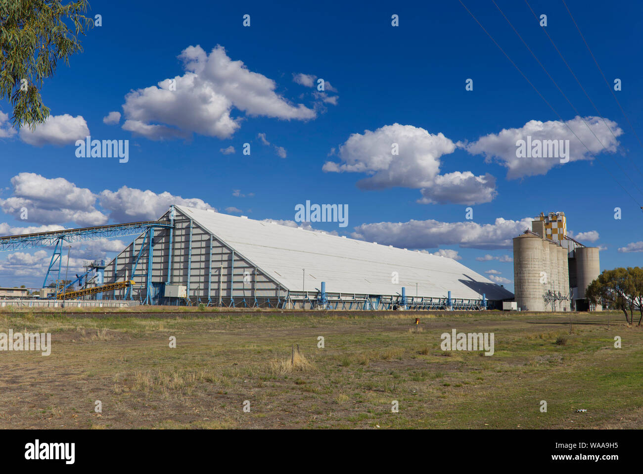 Grain silo's at Moree New South Wales Australia Stock Photo