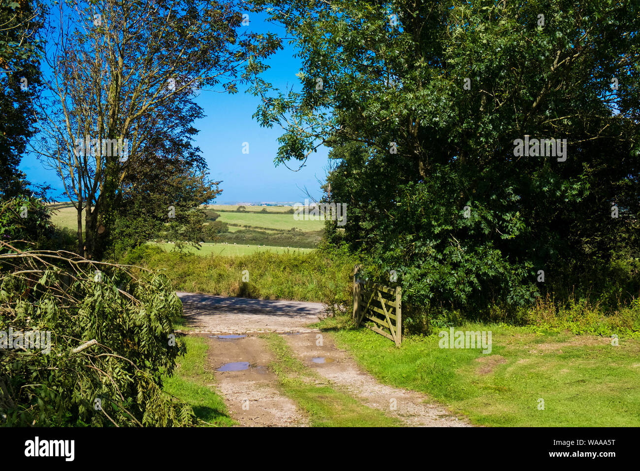 The Cornish countryside near Newquay Cornwall. Stock Photo
