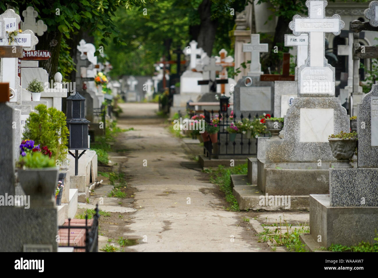 Serban Voda cemetery (commonly known as Bellu cemetery) is the largest and most famous cemetery in Bucharest, Romania. Stock Photo