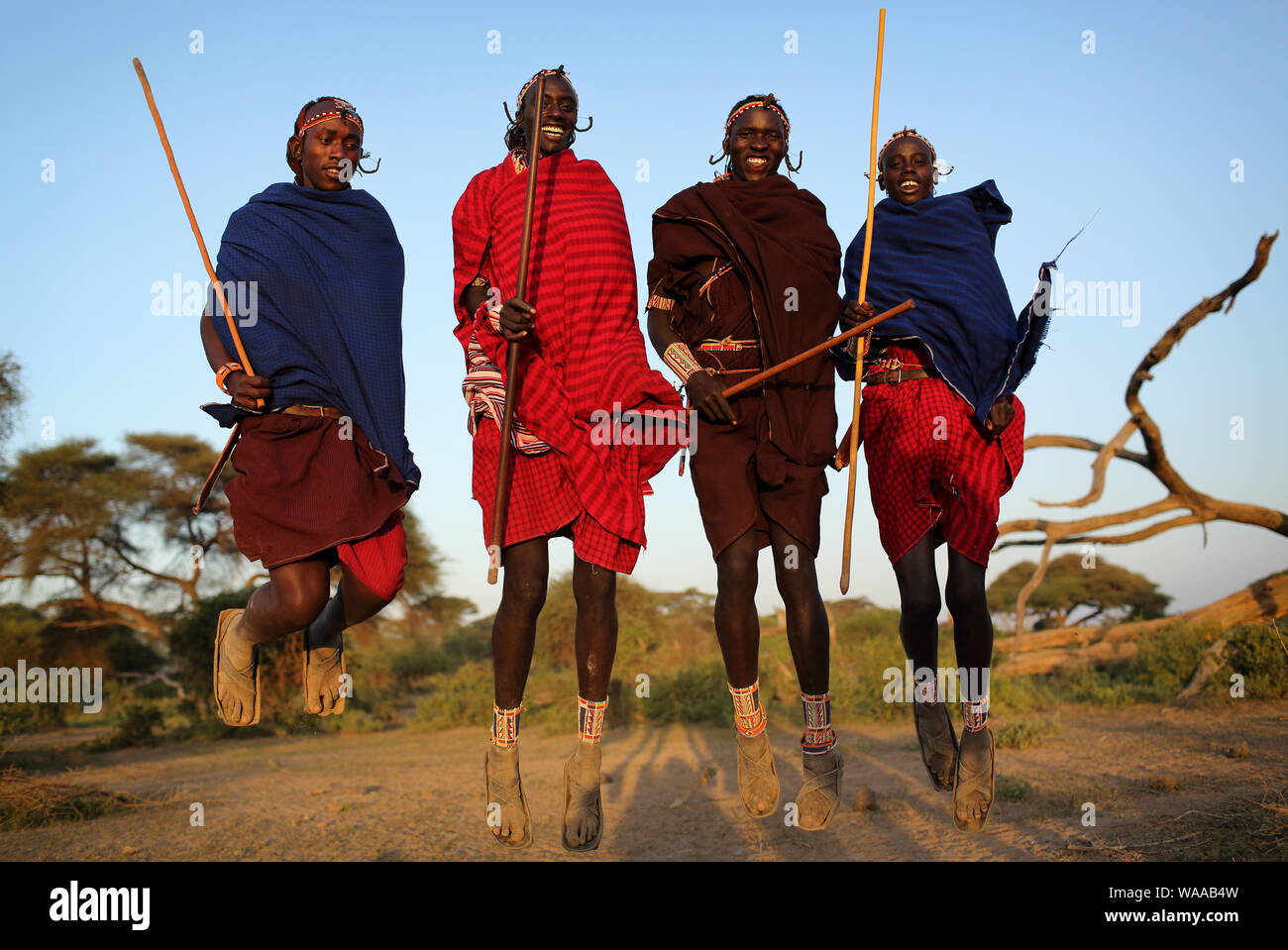 Jumping Maasai warriors at a traditional dance in Loitoktok, Kenya. Stock Photo