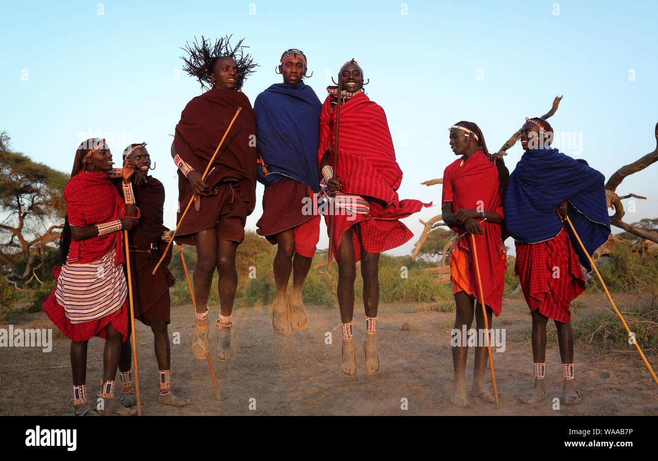 Jumping Maasai warriors at a traditional dance in Loitoktok, Kenya. Stock Photo