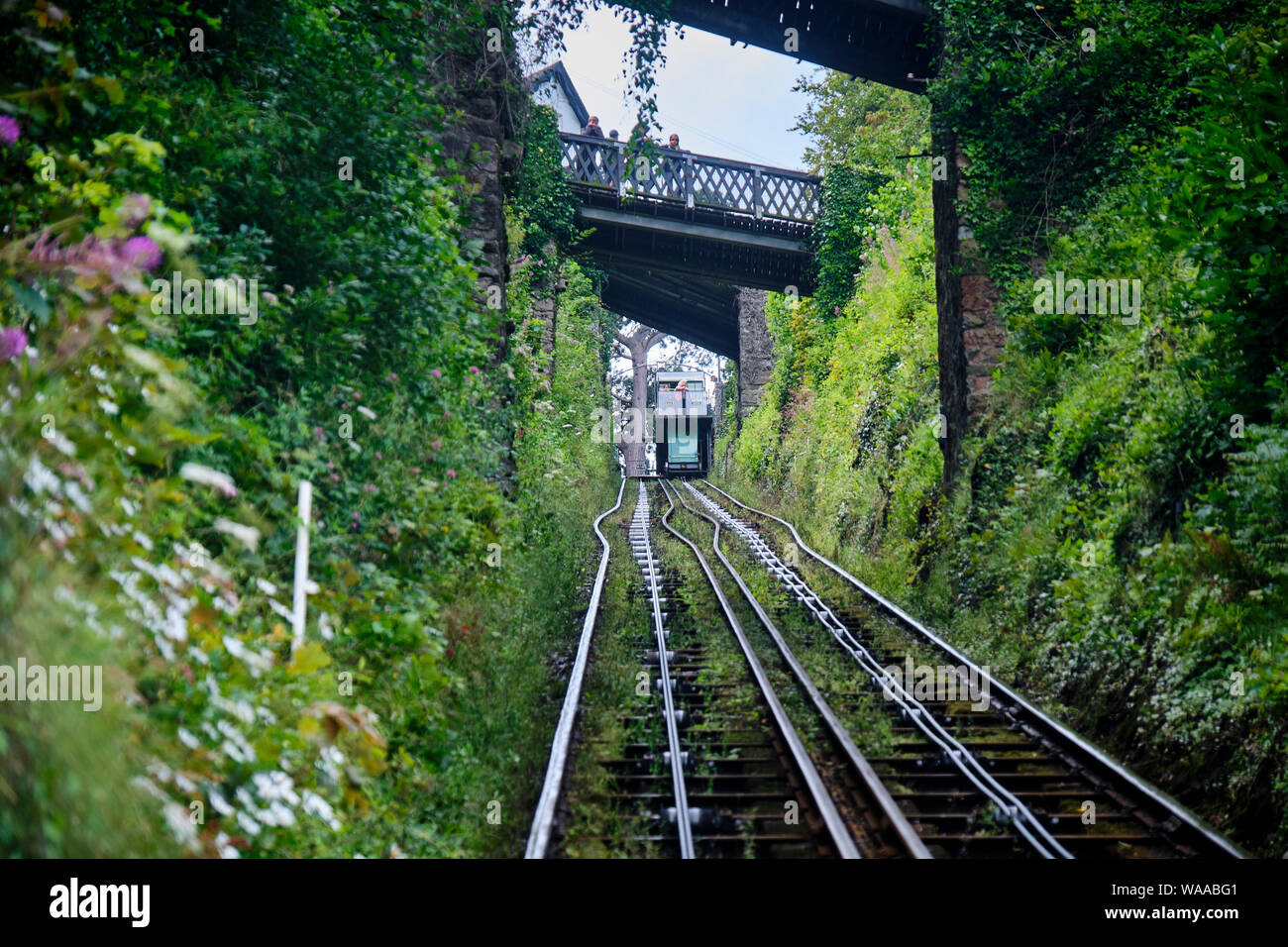 The Lynton and Lynmouth Cliff Railway, Lynton, Devon Stock Photo