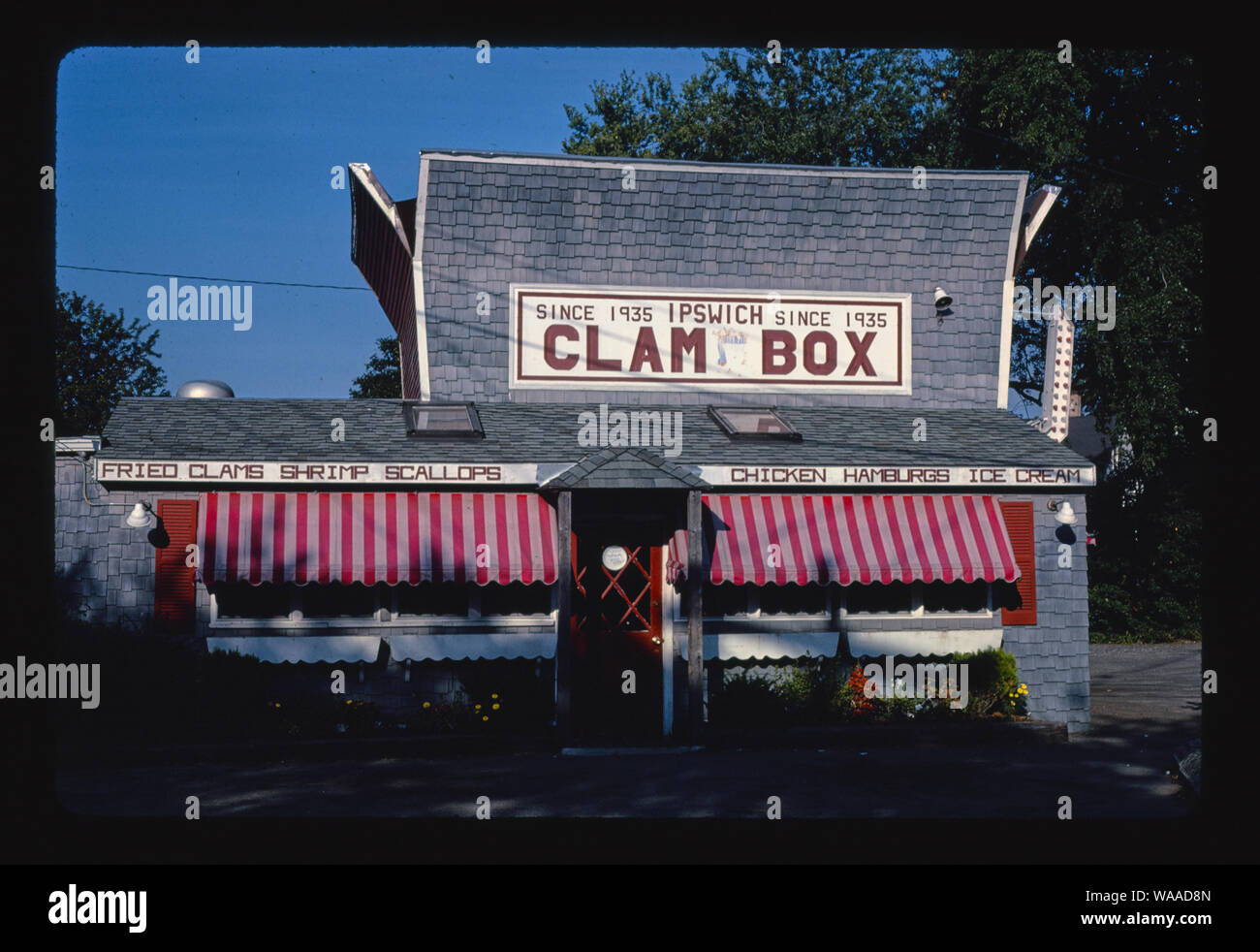 Ipswich clams or essex clam hires stock photography and images Alamy