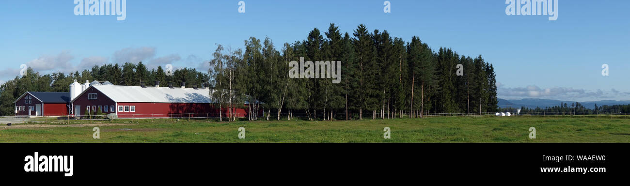 Panorama of farmhouses anf field near forest in Norway Stock Photo