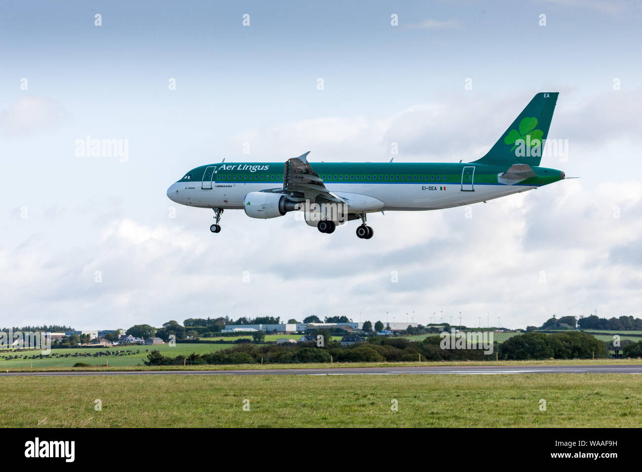Cork Airport, Cork, Ireland. 19th August, 2019.  An Aer Lingus Airbus A320 aircraft about to land after its short flight from Amsterdam into Cork Airp Stock Photo