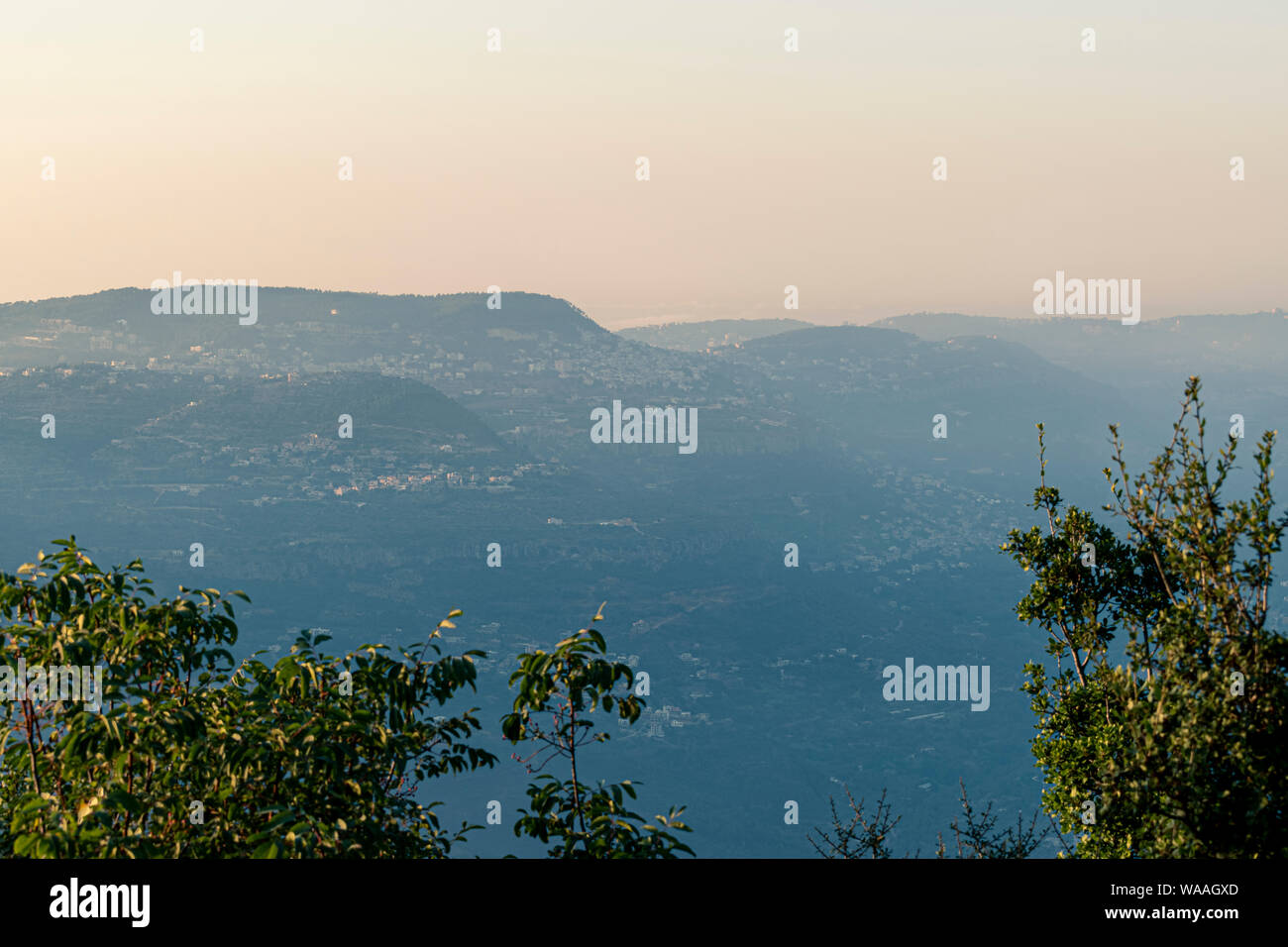 Beautiful colorful sunset over the mountain range and pine tree forest ...